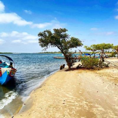 Wonderful Teranga En Image 4